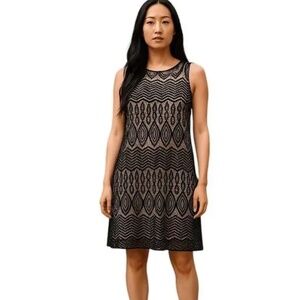 NWT -Sharagano Dress -Black Lace with Nude Underlay